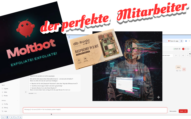 Ein neuer Mitarbeiter "Molti"